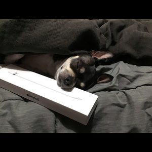 Meet your Posher, Brittney